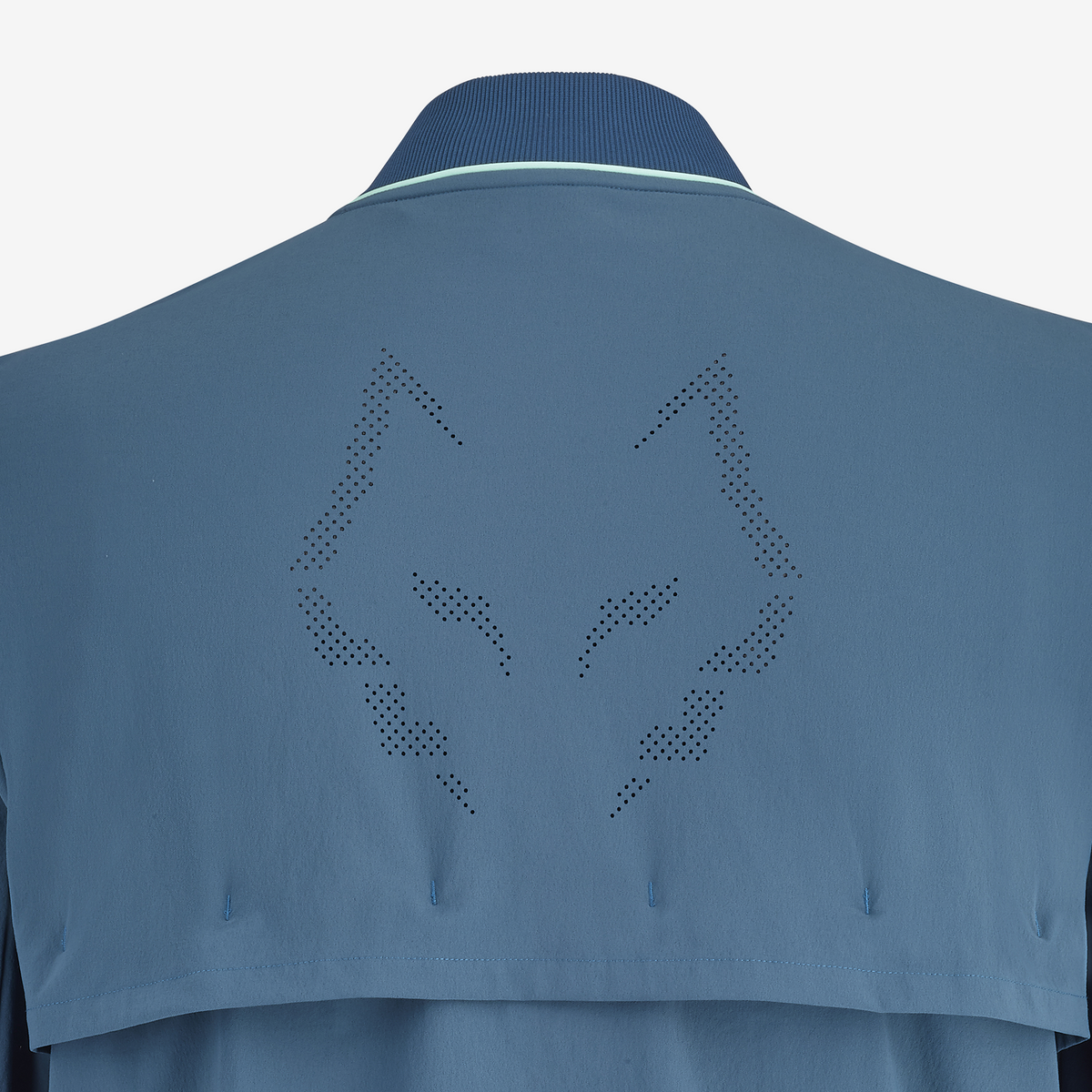 Babolat Jacket Lebron Men's Legion Blue